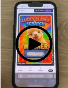 How to check if you won